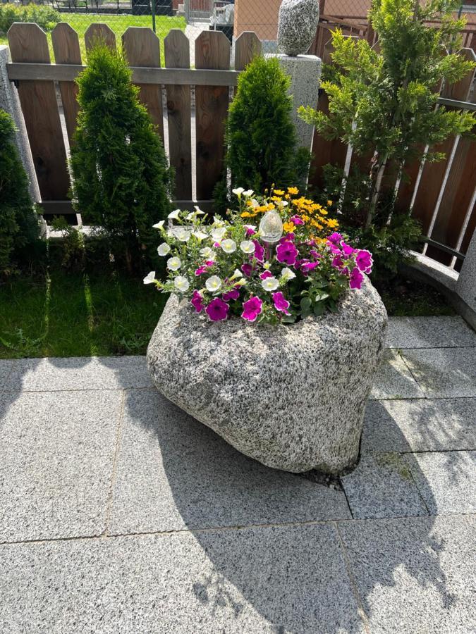 B&B Casa Il Sasso Пінцоло Екстер'єр фото