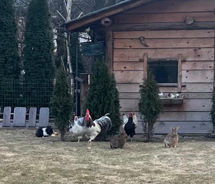 B&B Casa Il Sasso Пінцоло Екстер'єр фото